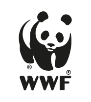 Tina Markou, People & Culture manager, WWF Greece
